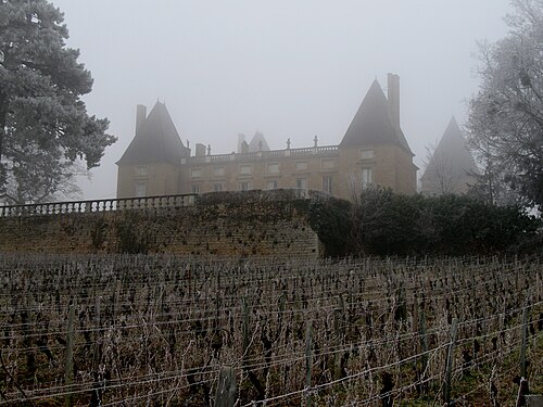 Château de Layé