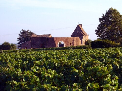Château de Leynes