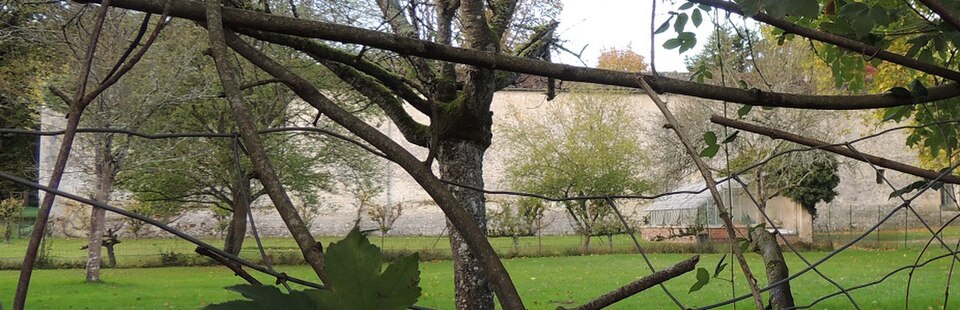 Paley : la forteresse du XIIe siècle devenue terrain de création reçoit 500 000 € du Loto du Patrimoine