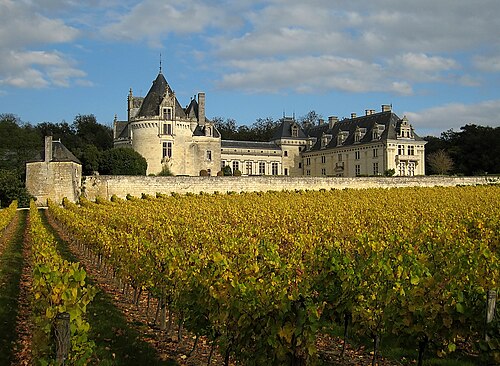 Château de Brézé