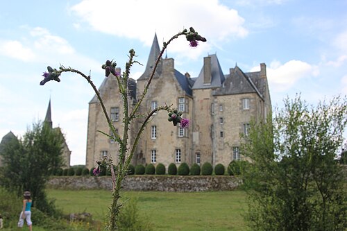 Château de Bourgon