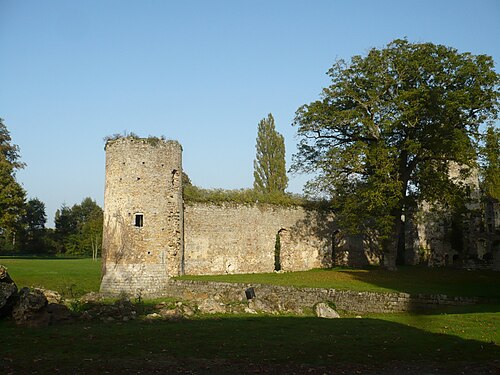 Château royal du Vivier