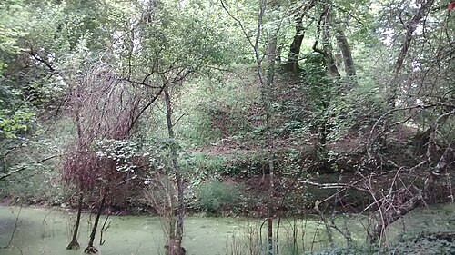 Motte Saint-Albe