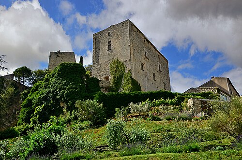 Château fort de Caseneuve