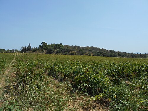 Château du Réart