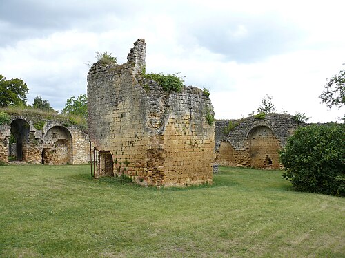 Château fort de Molières