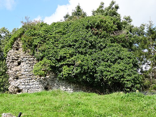 Château du Plessis-Grimoult