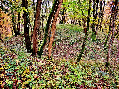 Motte castrale de la Malatière