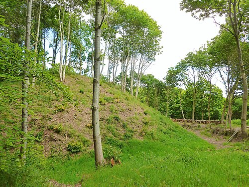 Motte féodale des Bourgs Heusas