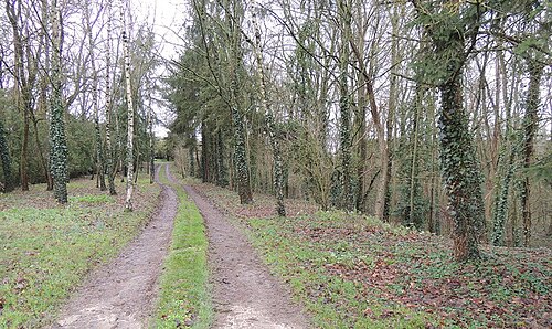 Motte castrale de Prasville
