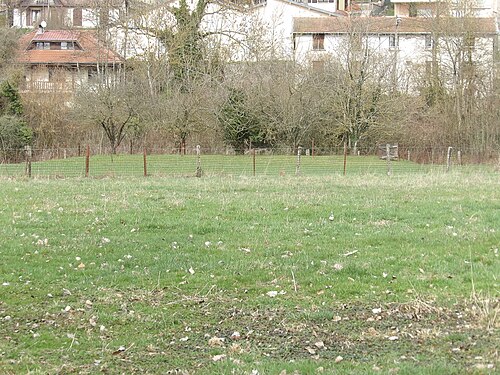 Motte castrale de Richardménil