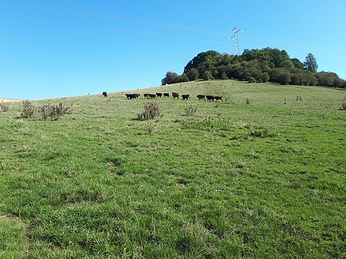 Motte castrale de Chaillon