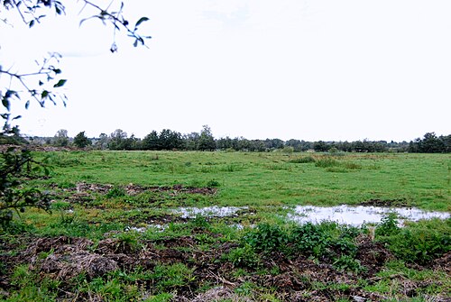 Motte féodale d'Aulnoye-Aymeries