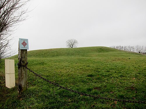 Motte castrale du Châtellier