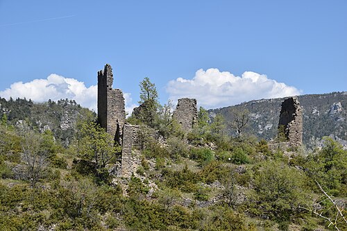 Château fort de Dolan