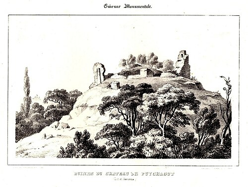 Burg Puychagut