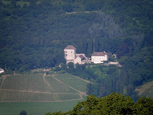 Château de Saint-Innocent