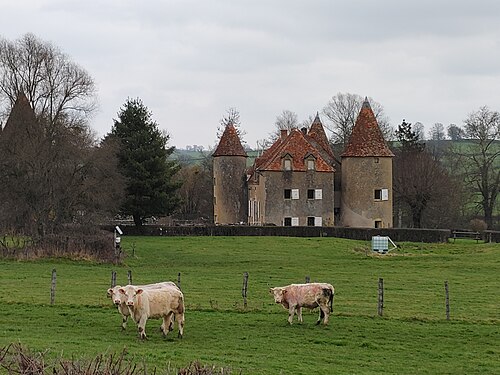 Château du Montot