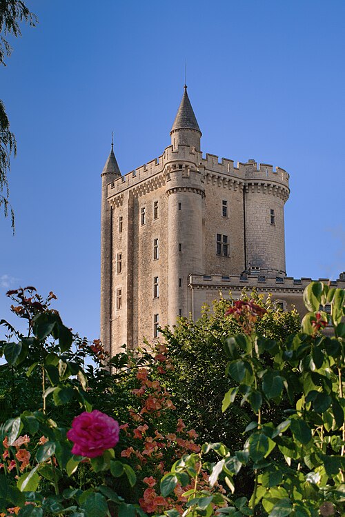 Château de Morthemer