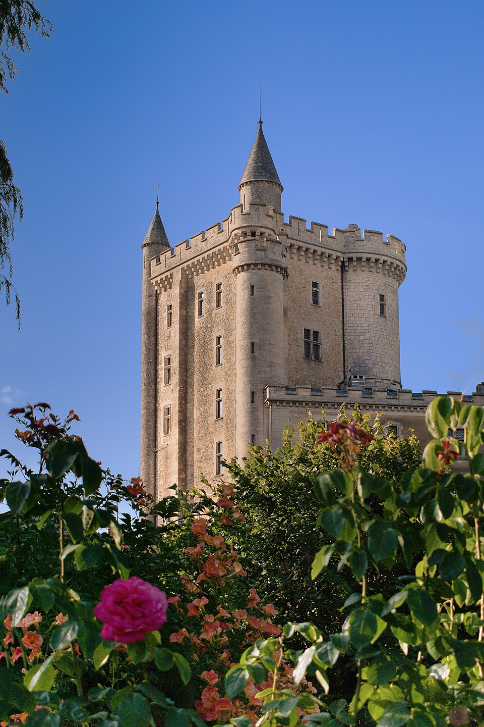 Château de Morthemer