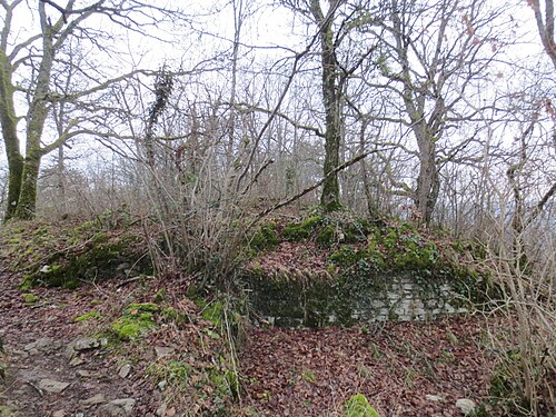 Château de Vergy