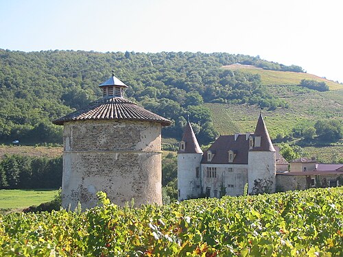 Château de La Palud