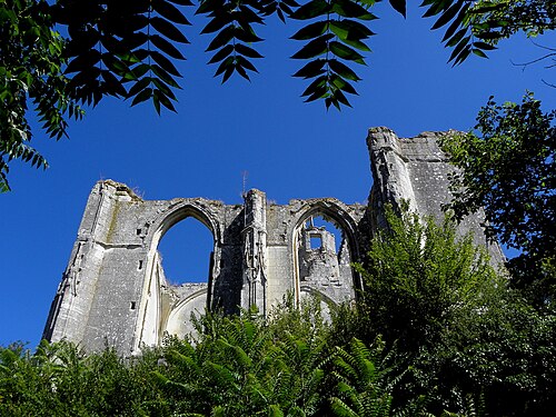 Château et collégiale des Roches-Tranchelion