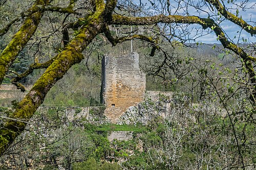 Château de Caylus