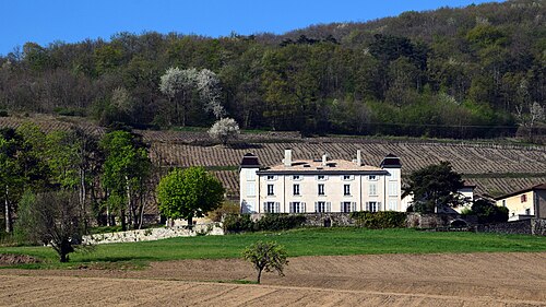 Château du Souzy