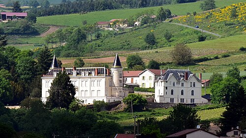 Château des Ardillats