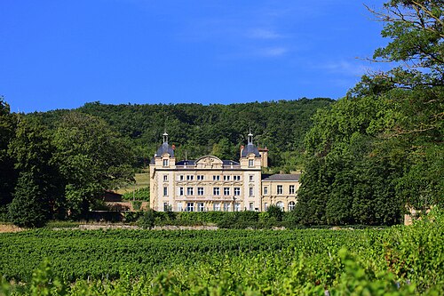Château de Cruix