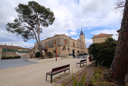 Ancien château de Saint-Drézéry