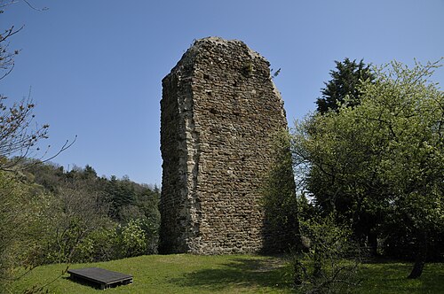 Remains of the castel of Beauchastel