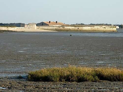 Fort Lapointe