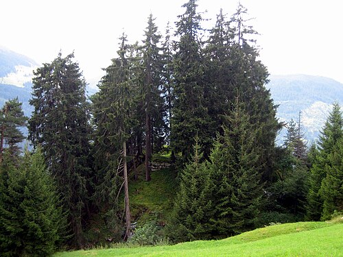 Burg Salons