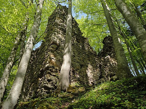 Burgruine Jagdburg