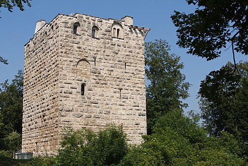 Ruines de Kastelen