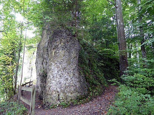 Alt-Toggenburg, mittelalterliche Burgstelle (Iddaburg) / bronze- und eisenzeitliche Siedlungen