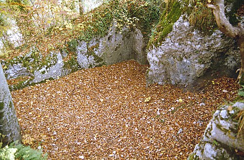 Bärenfels (Eschberg), mittelalterliche Burgruine