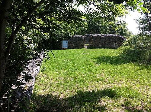 Mittelalterliche Burgruine Altenberg