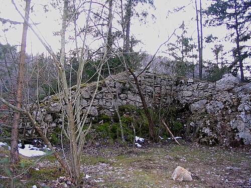 Ruine Gutenfels