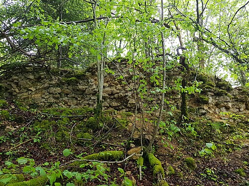 Ruines du château de Roche-d'Or