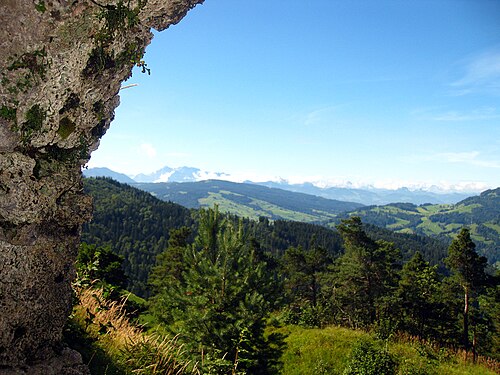Burgruine Neu-Toggenburg