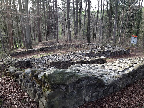 Schleifenrain, mittelalterliche Burgruine