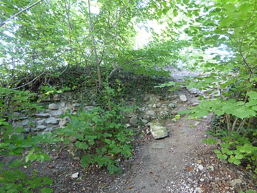 Ruines de Neuenburg