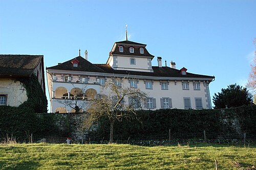 Château d'Hilfikon