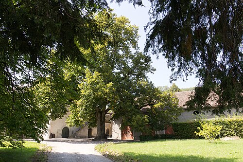 Château avec dépendances viticoles