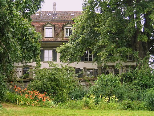 Elfenau