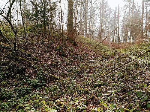 Burgstelle Untere Heidenburg