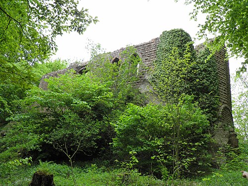 château de l'Œdenbourg